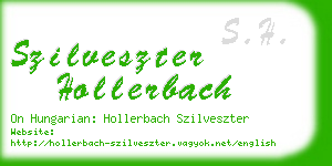 szilveszter hollerbach business card